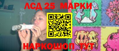 СК Тула