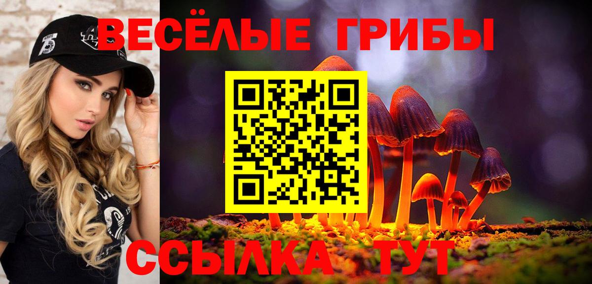 Галлюциногенные грибы Magic Shrooms Новоалтайск